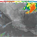 WhatsApp Image 2025-10-25 at 09.03.13