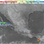 WhatsApp Image 2025-10-27 at 07.45.32