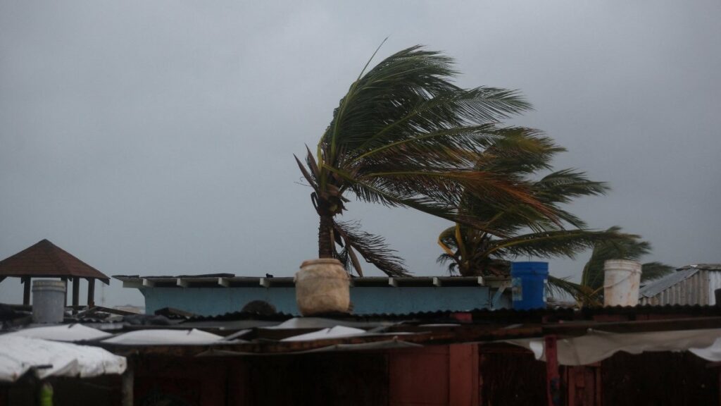 WhatsApp Image 2025-10-27 at 08.42.37