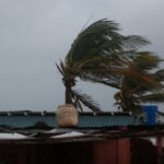 WhatsApp Image 2025-10-27 at 08.42.37