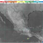 WhatsApp Image 2025-10-28 at 07.56.48