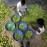 WhatsApp Image 2025-10-29 at 08.41.25