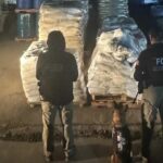 WhatsApp Image 2025-10-29 at 09.55.33