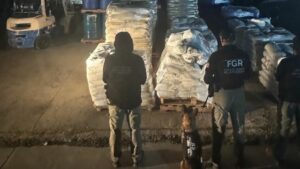 WhatsApp Image 2025-10-29 at 09.55.33