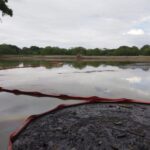 WhatsApp Image 2025-10-29 at 10.52.57