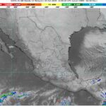 WhatsApp Image 2025-10-30 at 08.08.36