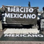 Imagen de WhatsApp 2025-11-14 a las 10.49.52_c13f449c