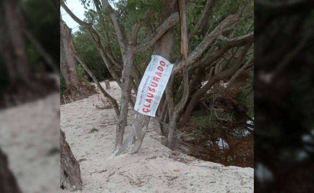 Imagen de WhatsApp 2025-11-17 a las 10.27.43_ae16211f