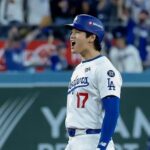 WhatsApp Image 2025-11-01 at 16.16.15