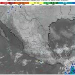 WhatsApp Image 2025-11-04 at 07.49.13