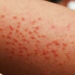 WhatsApp Image 2025-11-04 at 10.33.56