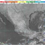 WhatsApp Image 2025-11-05 at 07.46.20