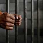 WhatsApp Image 2025-11-08 at 14.43.00