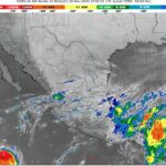 WhatsApp Image 2025-11-10 at 07.58.10