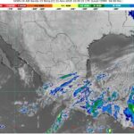 WhatsApp Image 2025-11-11 at 07.37.29