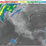 WhatsApp Image 2025-11-18 at 07.28.29