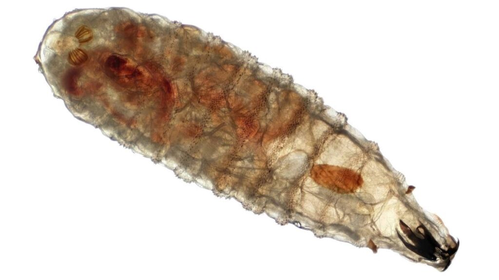 WhatsApp Image 2025-11-18 at 12.02.33