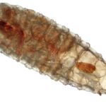 WhatsApp Image 2025-11-18 at 12.02.33