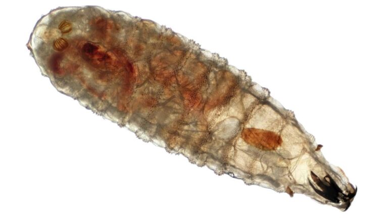 WhatsApp Image 2025-11-18 at 12.02.33