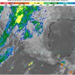 WhatsApp Image 2025-11-19 at 08.31.28