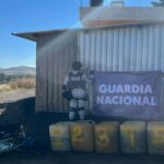 WhatsApp Image 2025-11-20 at 07.32.19