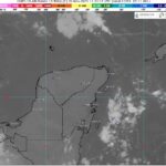 WhatsApp Image 2025-11-20 at 07.41.01