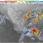 WhatsApp Image 2025-11-26 at 07.15.26