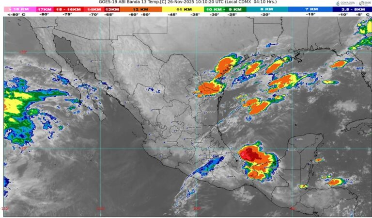 WhatsApp Image 2025-11-26 at 07.15.26