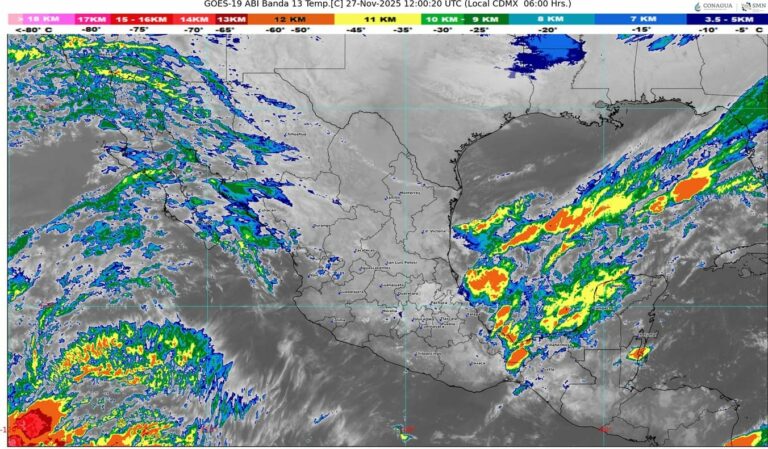 WhatsApp Image 2025-11-27 at 08.11.51