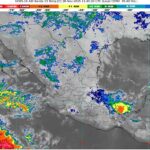 WhatsApp Image 2025-11-28 at 08.43.17