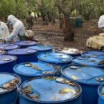 602940406_842068125400616_1087531780212570548_n