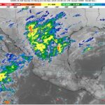 WhatsApp Image 2025-12-03 at 07.15.03