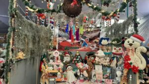 WhatsApp Image 2025-12-05 at 07.29.11