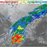 WhatsApp Image 2025-12-06 at 08.44.44