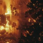 WhatsApp Image 2025-12-06 at 21.11.58