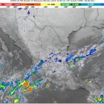 WhatsApp Image 2025-12-08 at 07.15.55