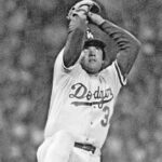 WhatsApp Image 2025-12-08 at 10.06.24