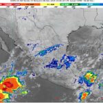 WhatsApp Image 2025-12-09 at 07.29.05