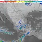 WhatsApp Image 2025-12-11 at 07.44.42