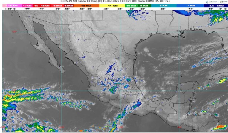 WhatsApp Image 2025-12-11 at 07.44.42