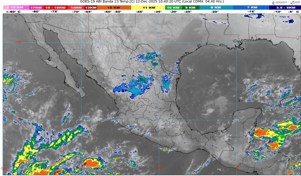 WhatsApp Image 2025-12-12 at 08.11.26