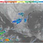 WhatsApp Image 2025-12-12 at 08.11.26