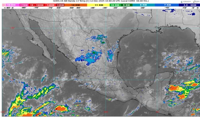 WhatsApp Image 2025-12-12 at 08.11.26