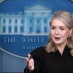 WhatsApp Image 2025-12-12 at 09.47.40