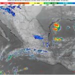 WhatsApp Image 2025-12-13 at 09.53.35