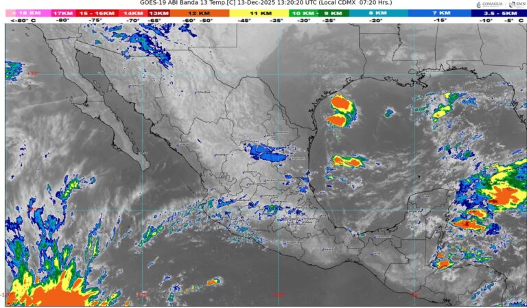 WhatsApp Image 2025-12-13 at 09.53.35