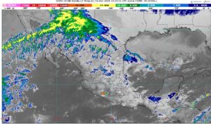 WhatsApp Image 2025-12-15 at 07.24.23 (1)