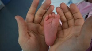 WhatsApp Image 2025-12-16 at 09.30.40