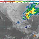 WhatsApp Image 2025-12-17 at 07.24.32