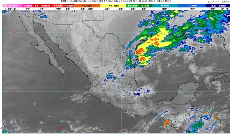 WhatsApp Image 2025-12-17 at 07.24.32